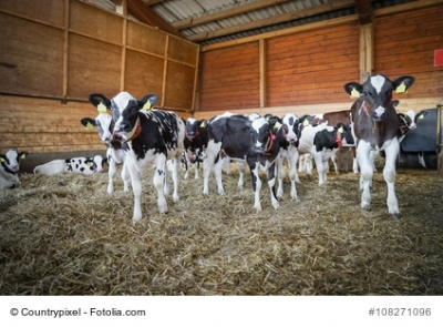 Diebstahl in der Landwirtschaft ist ein lukratives Geschäft: